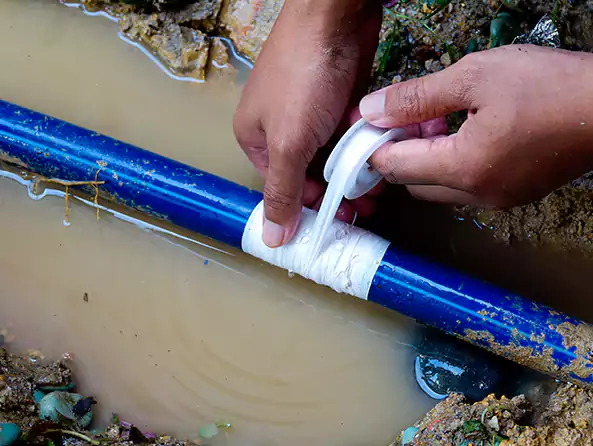  Why Choose Warwick Plumbing Pros for Leak Detection in Warwick, RI?]